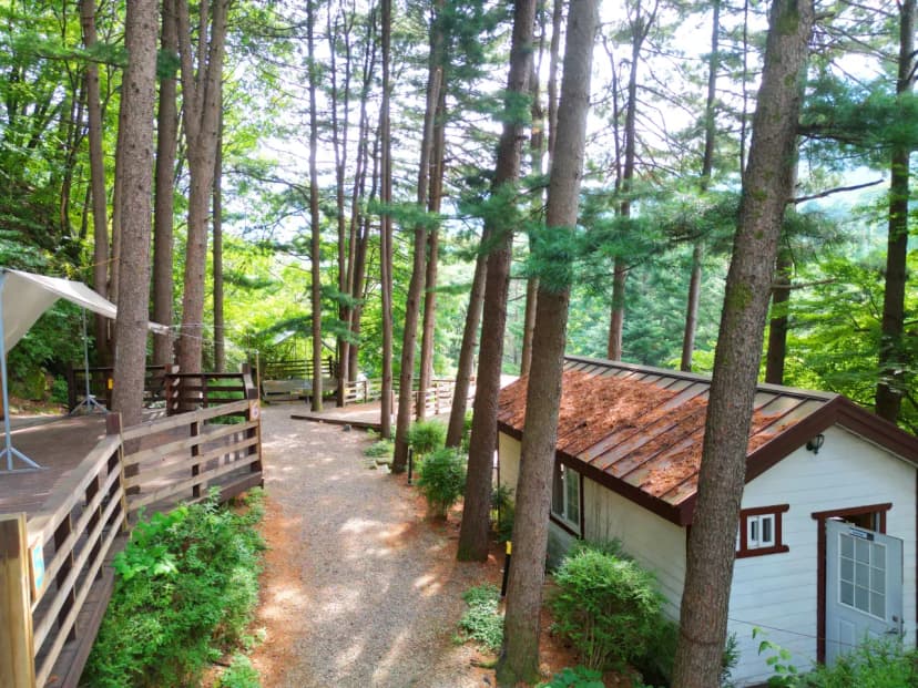 유명산 258 사진 11