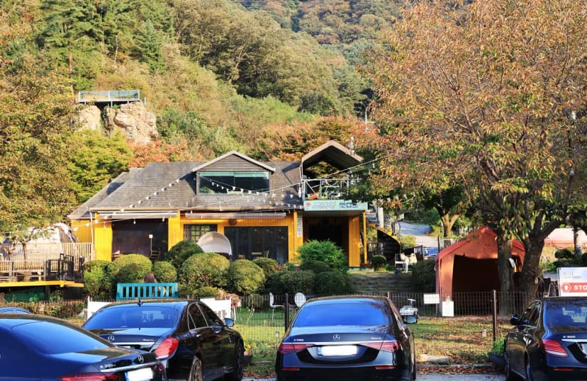 펫밀리애견파크타운 사진 4
