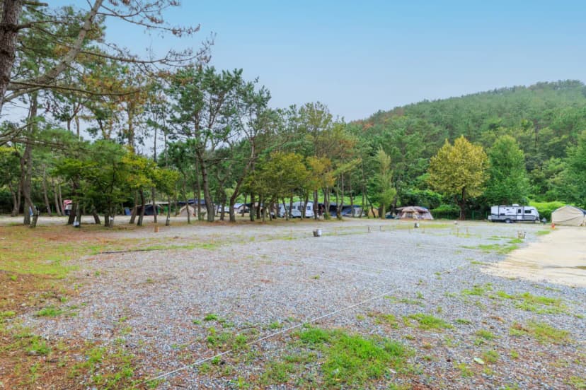 펜캠2495체험학교 사진 9