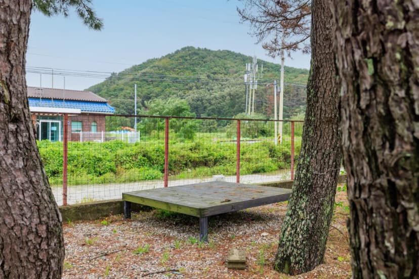 펜캠2495체험학교 사진 10