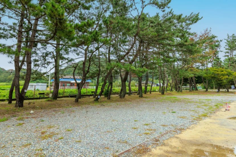 펜캠2495체험학교 사진 12
