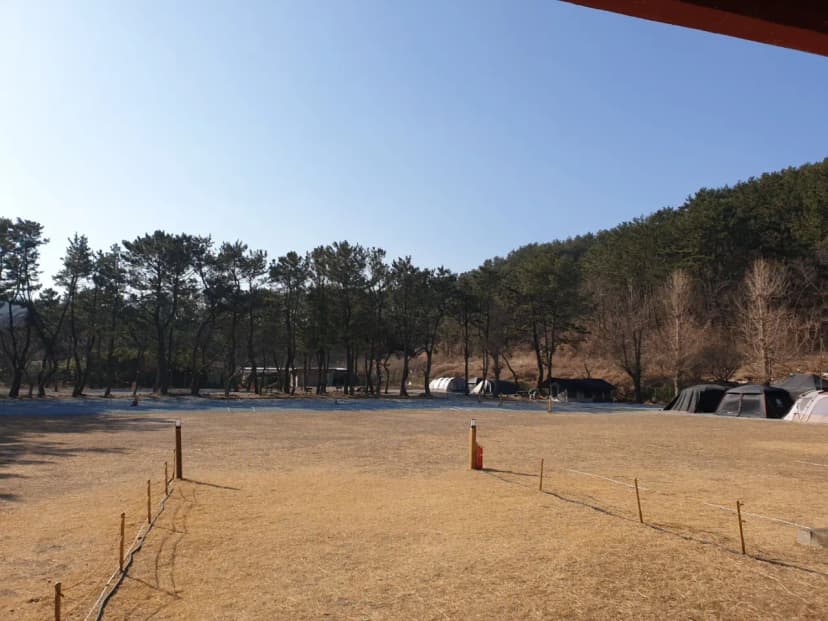 펜캠2495체험학교 사진 19
