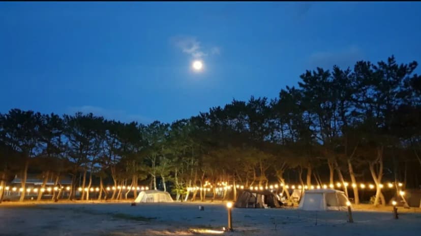 펜캠2495체험학교 사진 21