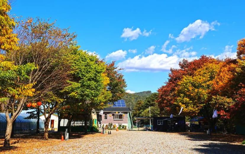 포도밸리 캠핑장 사진 3