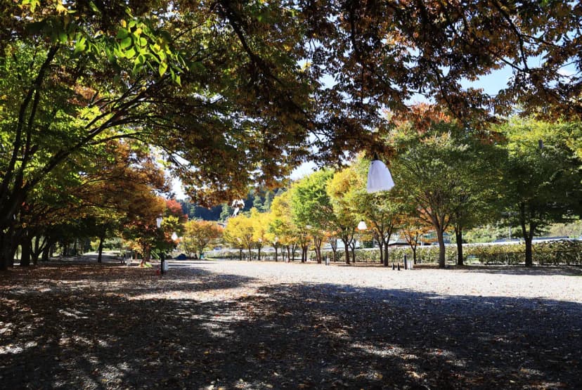 포도밸리 캠핑장 사진 12