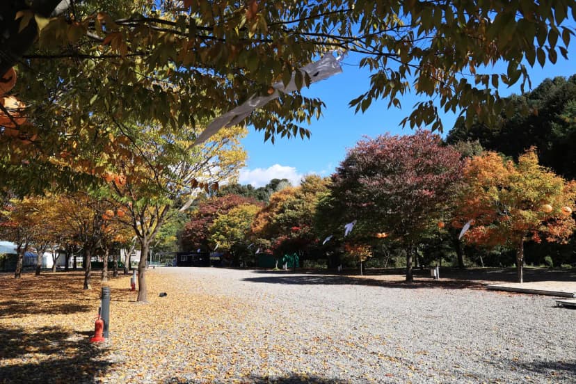 포도밸리 캠핑장 사진 16