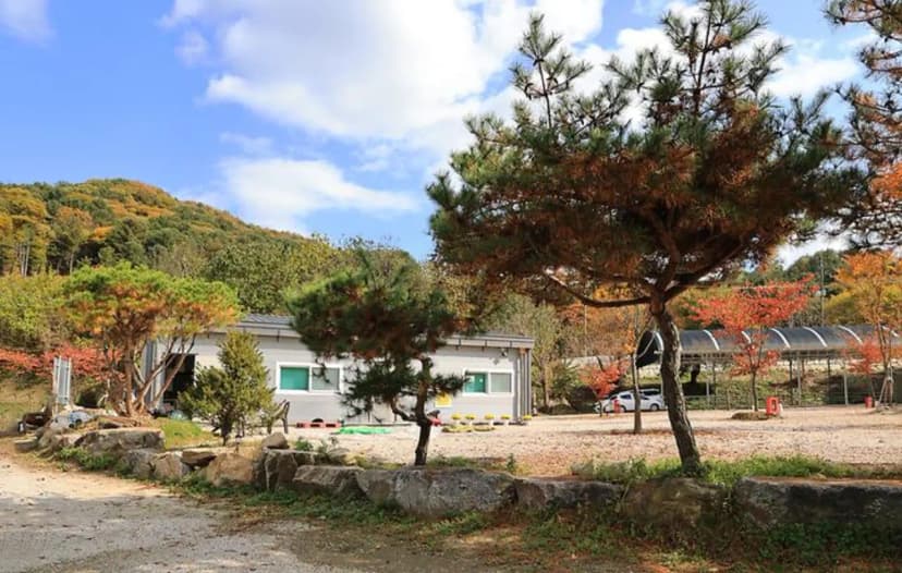 포천그린별캠핑장 사진 3