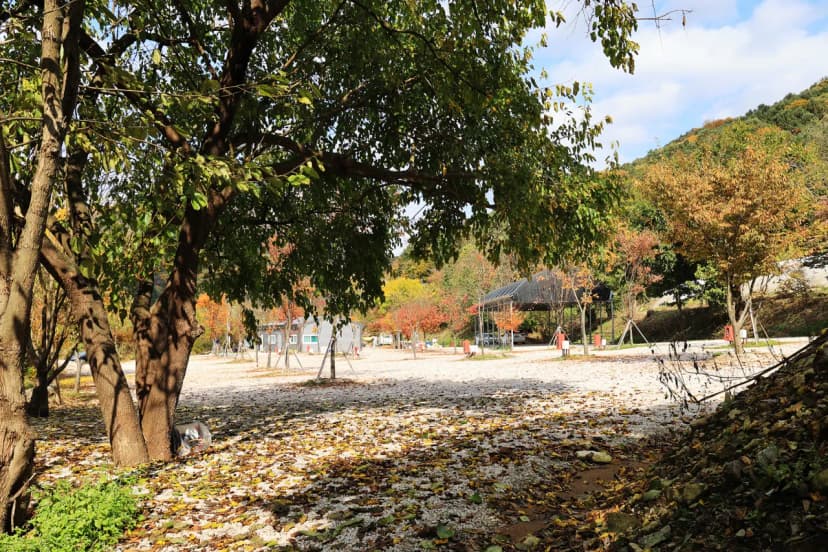 포천그린별캠핑장 사진 4