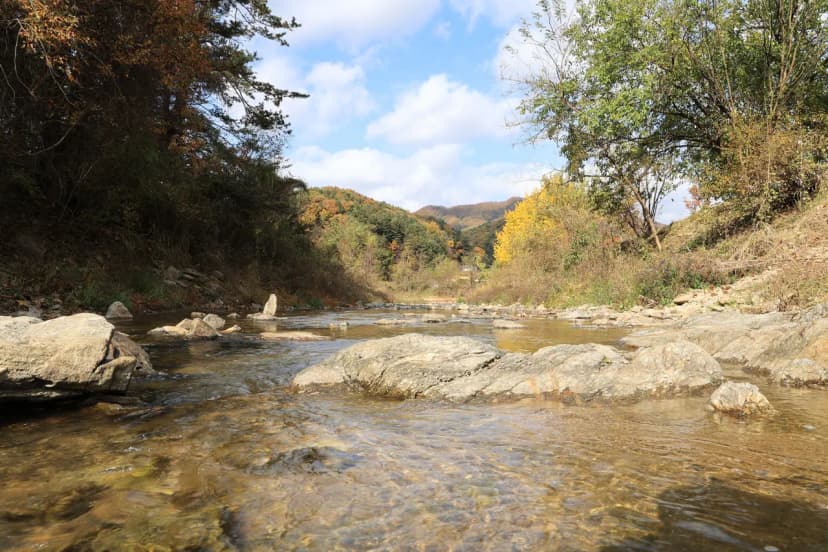 포천그린별캠핑장 사진 5