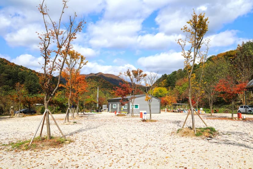 포천그린별캠핑장 사진 9