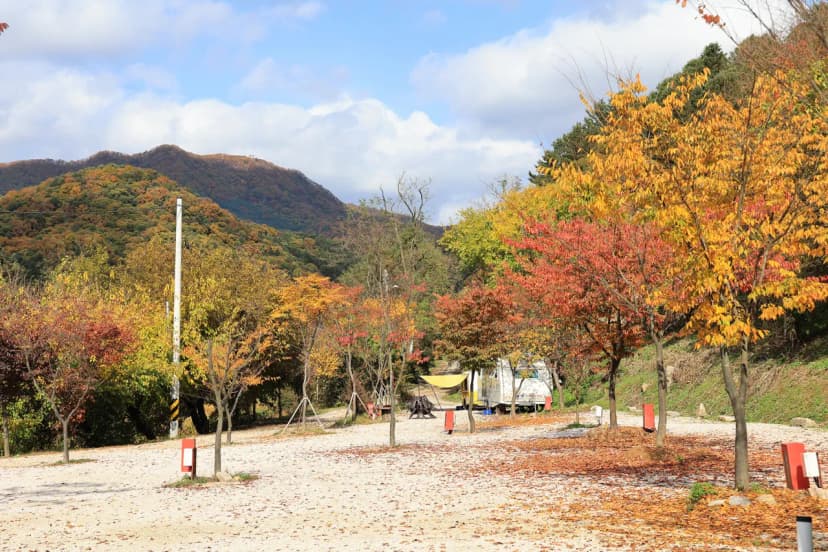 포천그린별캠핑장 사진 10