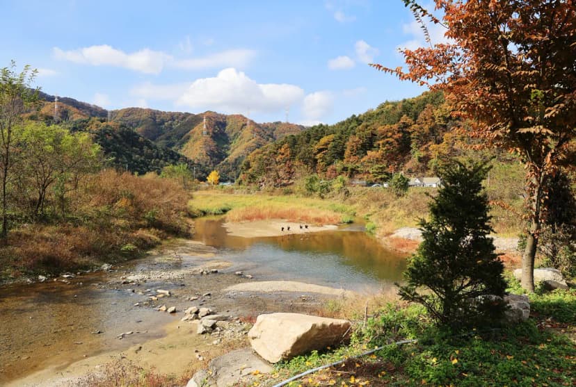 포천그린별캠핑장 사진 18