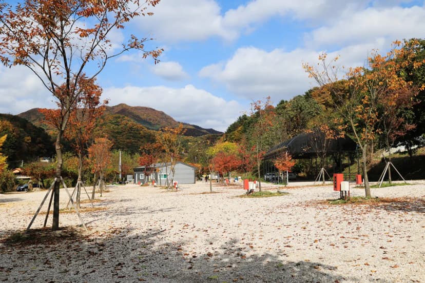 포천그린별캠핑장 사진 21