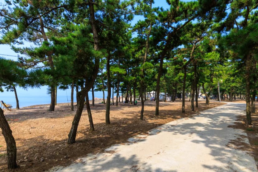 서산벌천포캠핑장 사진 5