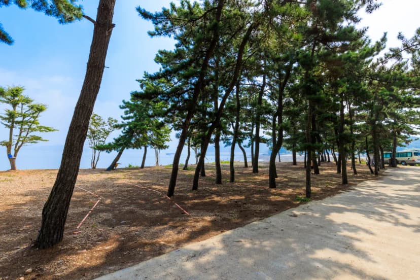서산벌천포캠핑장 사진 10