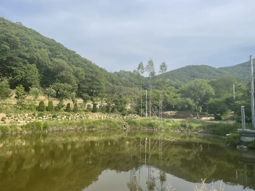 울미숲야영장 사진 7