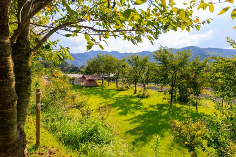 왕산골 관광농원 사진 5