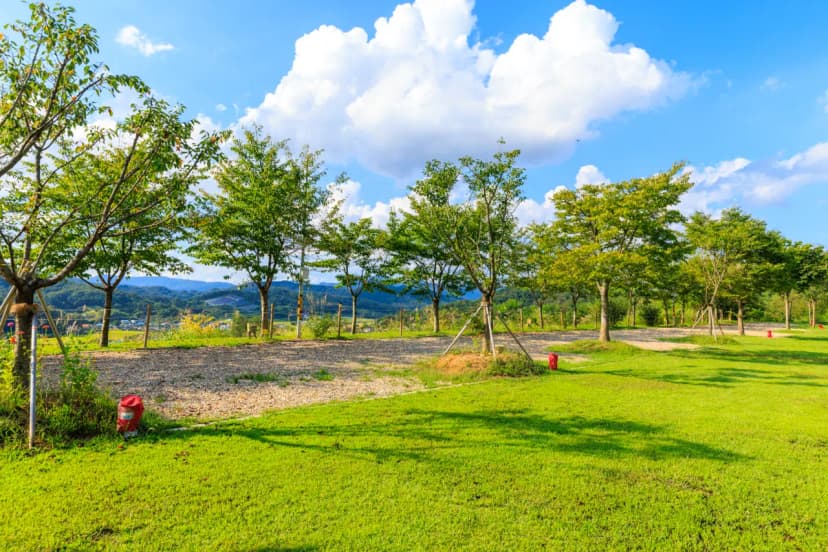 왕산골 관광농원 사진 8