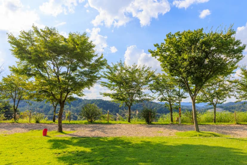 왕산골 관광농원 사진 9