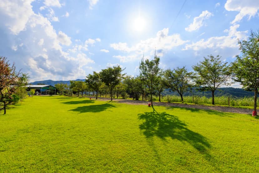 왕산골 관광농원 사진 10