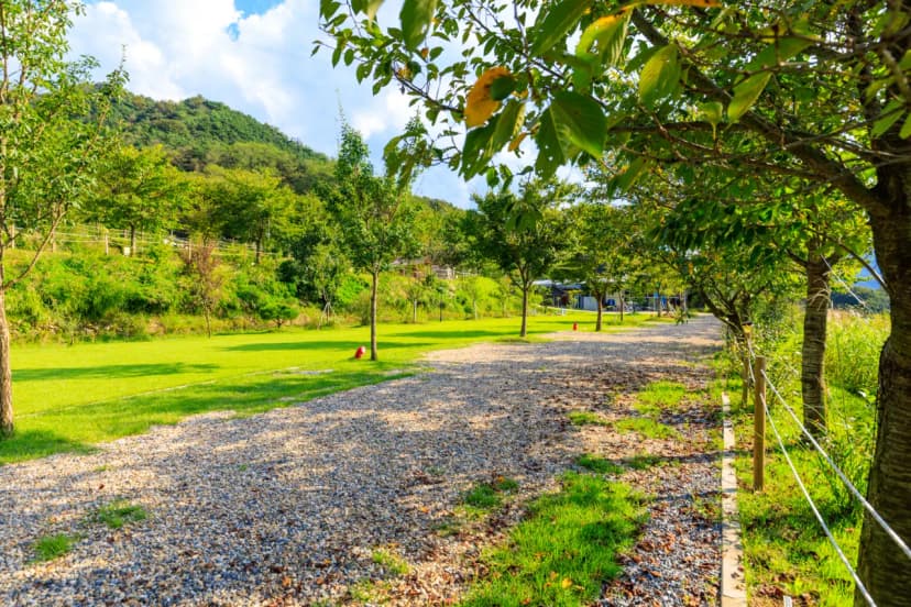 왕산골 관광농원 사진 12