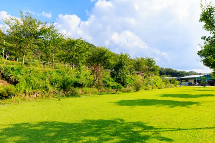 왕산골 관광농원 사진 13