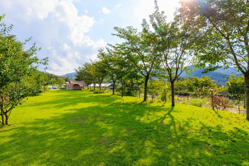 왕산골 관광농원 사진 14