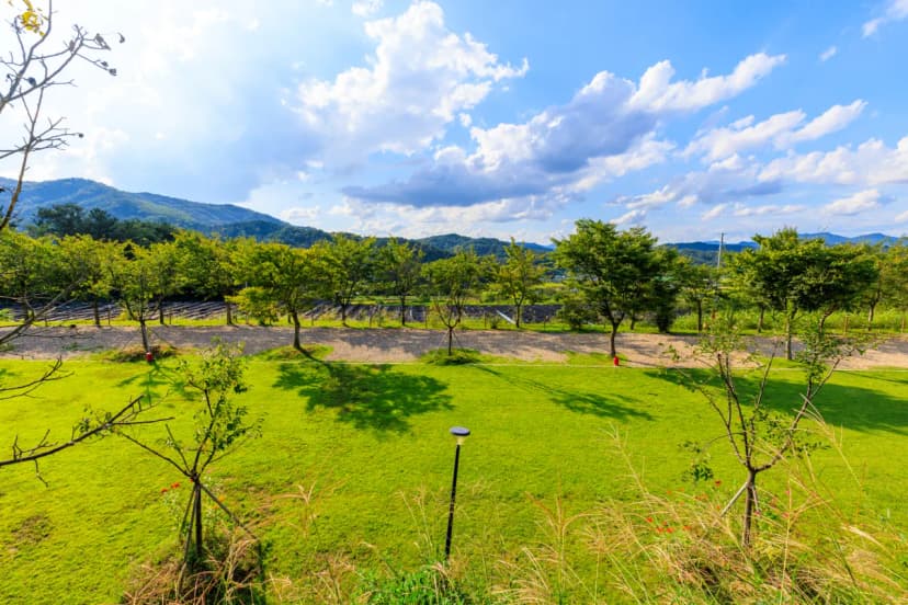 왕산골 관광농원 사진 15