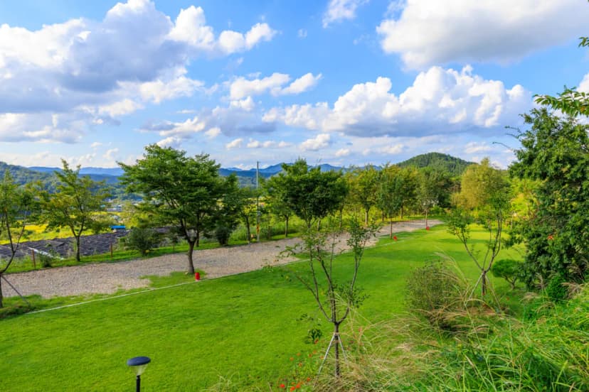 왕산골 관광농원 사진 16