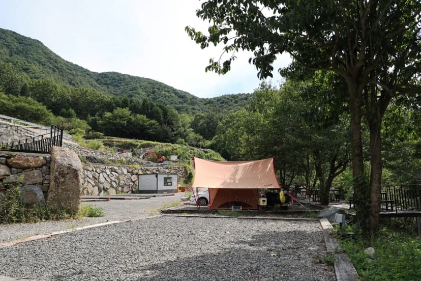 신박힐링캠프 사진 12