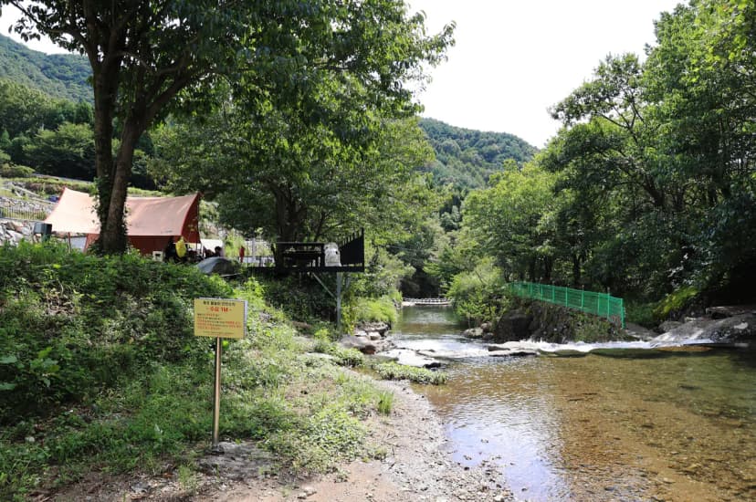 신박힐링캠프 사진 16