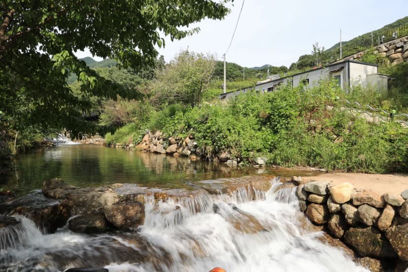 신박힐링캠프 사진 19
