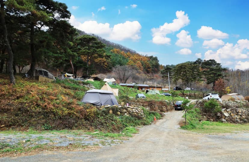 산너미목장 사진 3