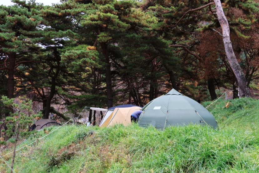산너미목장 사진 4