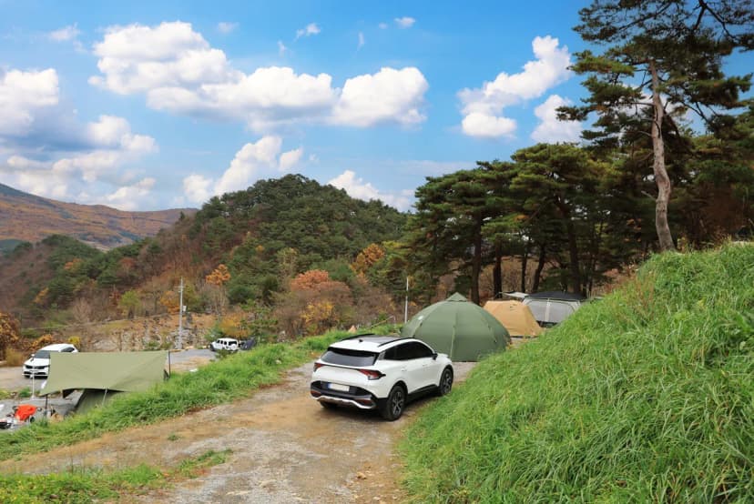 산너미목장 사진 5