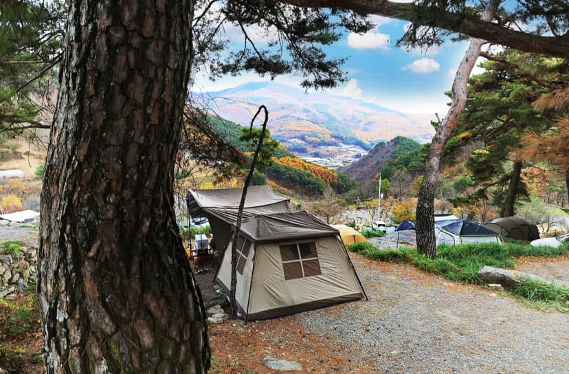 산너미목장 사진 8