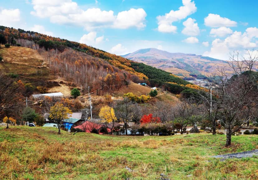 산너미목장 사진 17