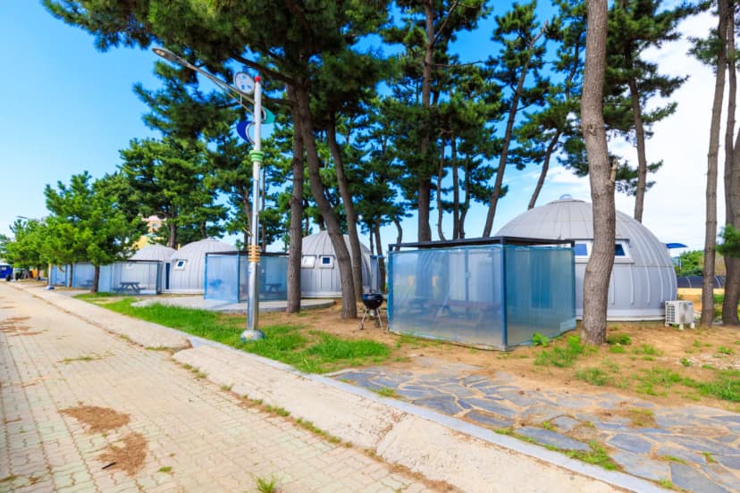 선도리 갯벌 글램핑장 사진 8