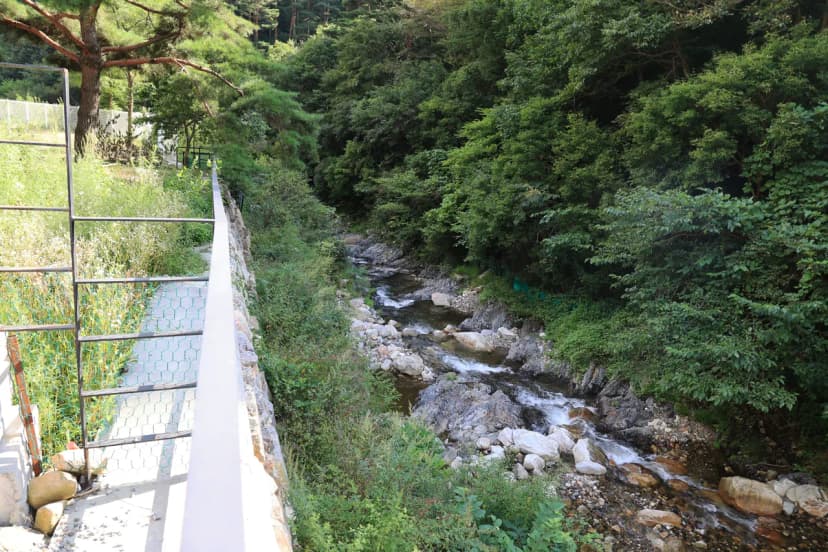 상동 선바위골 국민여가캠핑장 사진 17