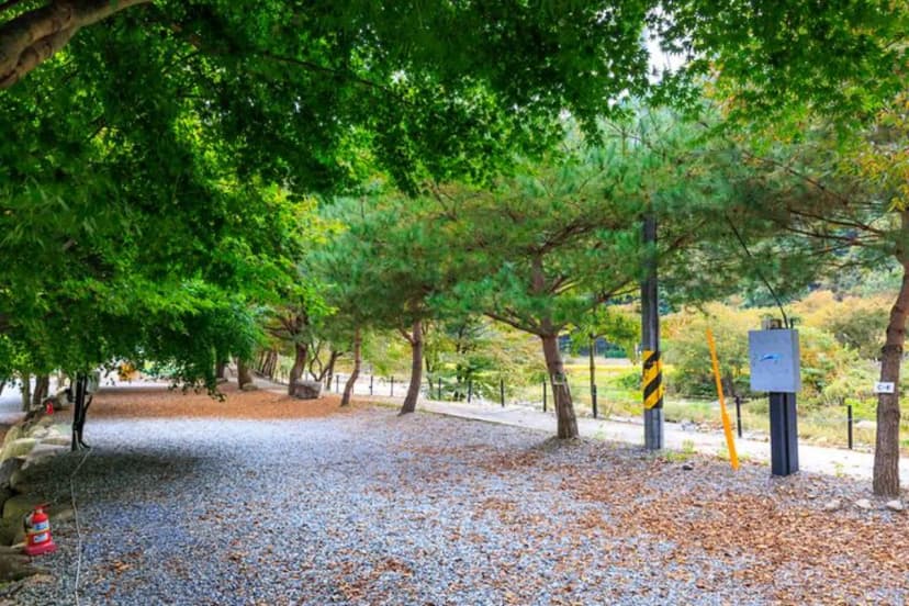 포레스트캐빈앤캠프 사진 3