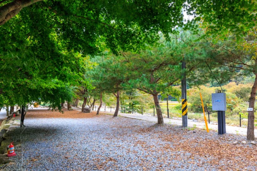 포레스트캐빈앤캠프 사진 4
