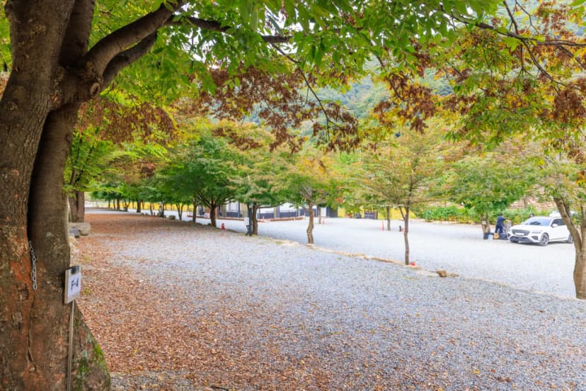 포레스트캐빈앤캠프 사진 7