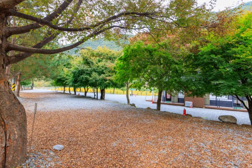 포레스트캐빈앤캠프 사진 9