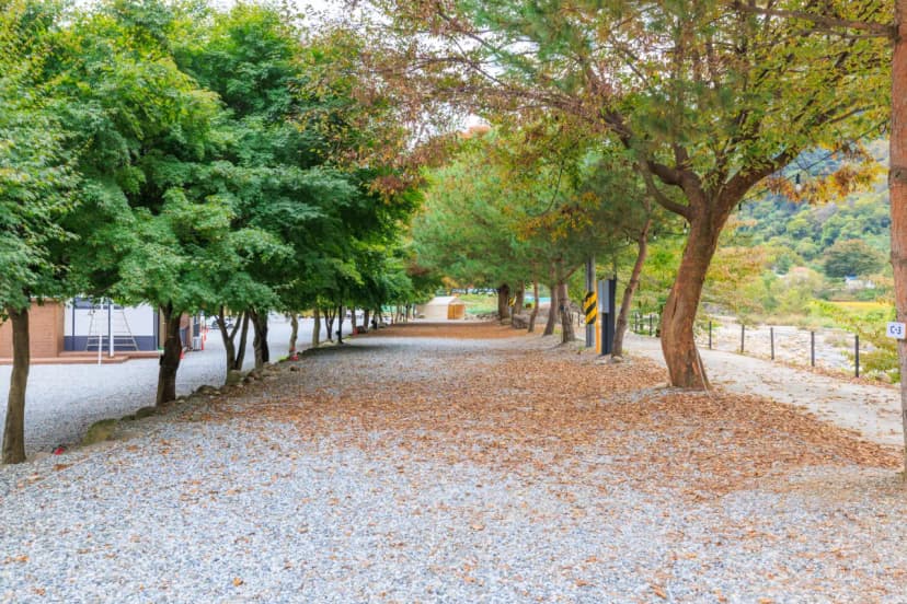 포레스트캐빈앤캠프 사진 10