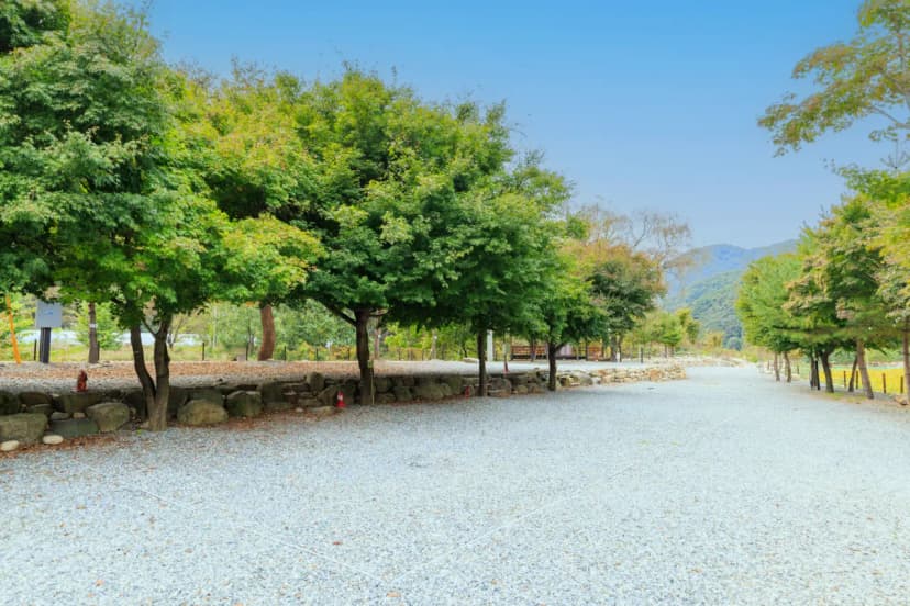 포레스트캐빈앤캠프 사진 13