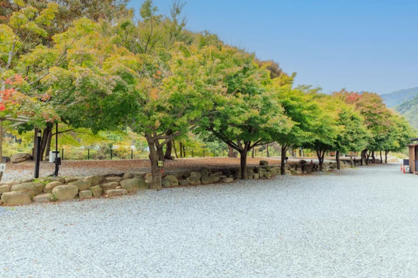 포레스트캐빈앤캠프 사진 14