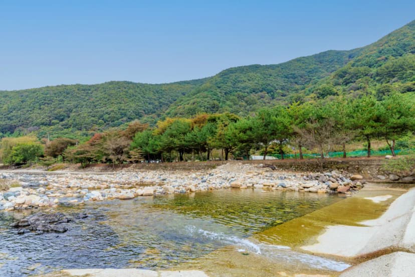 포레스트캐빈앤캠프 사진 18