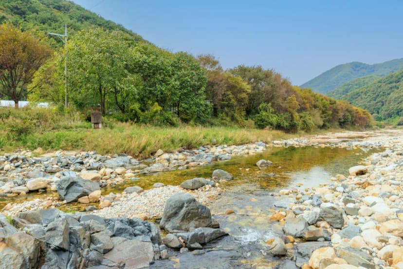 포레스트캐빈앤캠프 사진 19