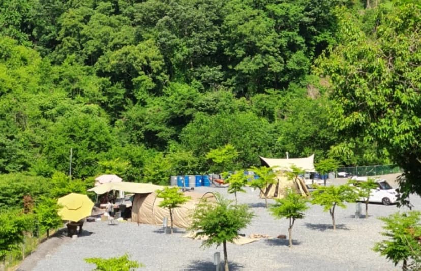 두더지CAMP 사진 13