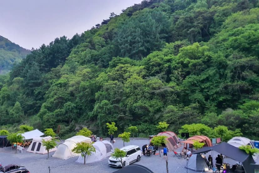 두더지CAMP 사진 14